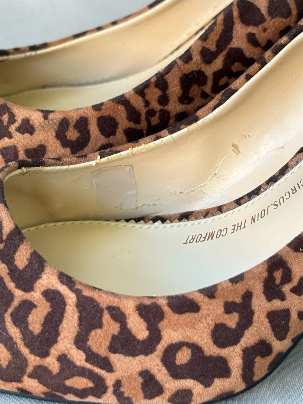 Circus by Sam Edelman Leopard Print Pointed Toe Pumps - Brown/Black Size 10